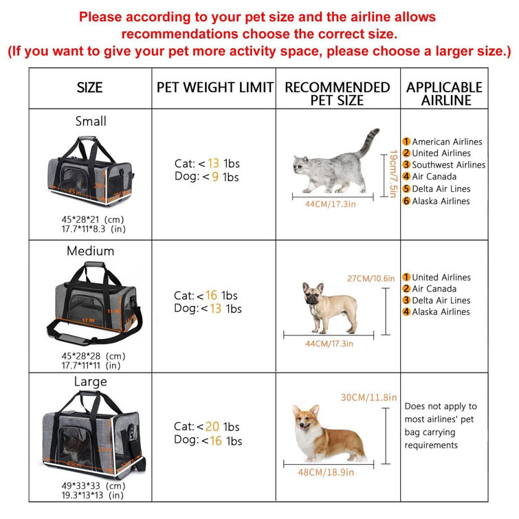 Delta pet carry on bag size sales